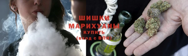 стафф Богородицк