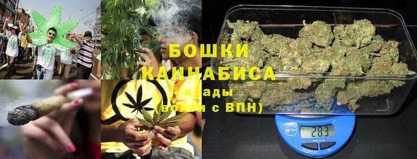 экстази Богданович
