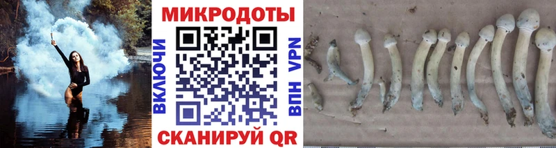 Галлюциногенные грибы Cubensis  mega сайт  Буйнакск 