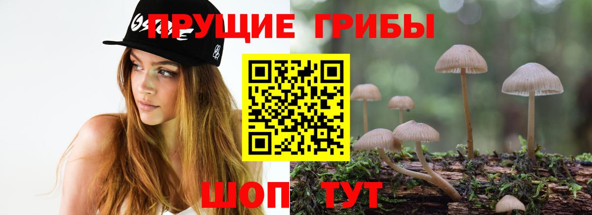 Псилоцибиновые грибы мицелий  Вход с VPN  Буйнакск 